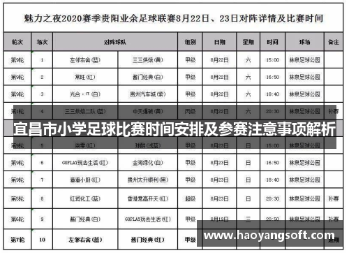 宜昌市小学足球比赛时间安排及参赛注意事项解析